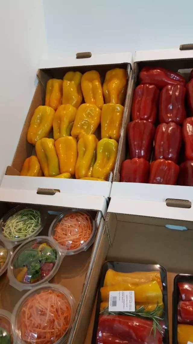 103.webp.jpg 103.webp.jpg