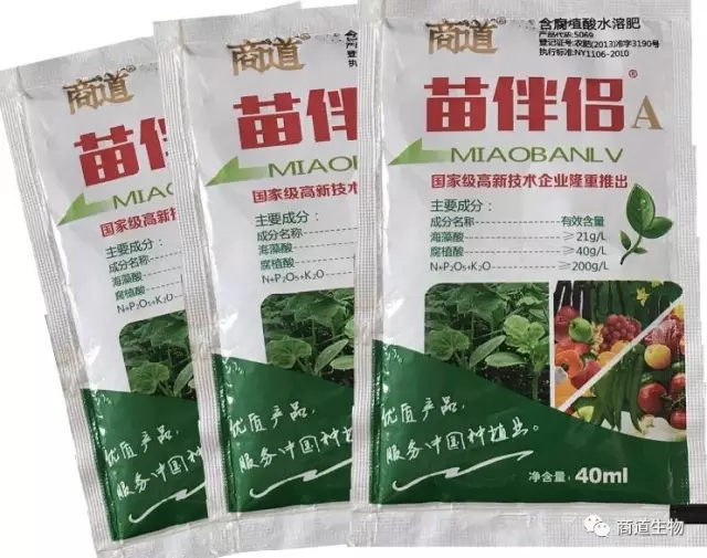 641.webp (4).jpg 641.webp (4).jpg