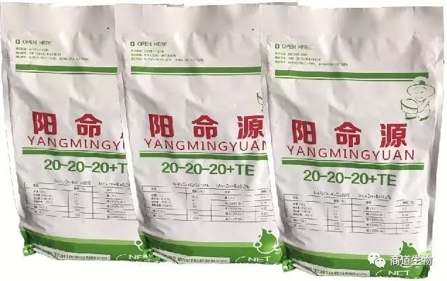 641.webp (1).jpg 641.webp (1).jpg