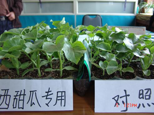 廣譜和專用基質(zhì)對比