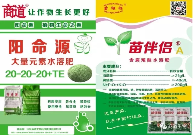 641.webp.jpg 641.webp.jpg