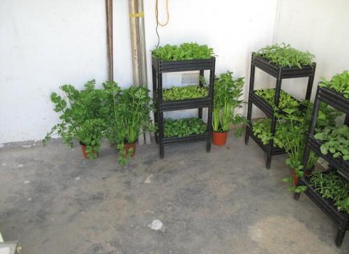 室內(nèi)植物栽培基質(zhì)