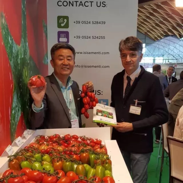 102.webp.jpg 102.webp.jpg