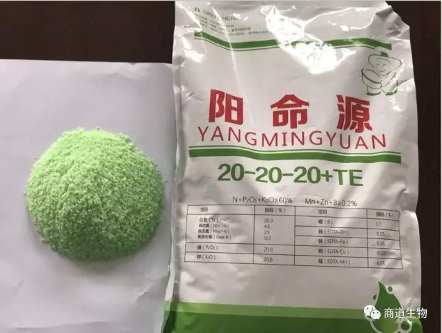 641.webp (3).jpg 641.webp (3).jpg